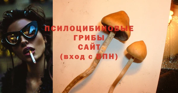 прущий лед Алексеевка