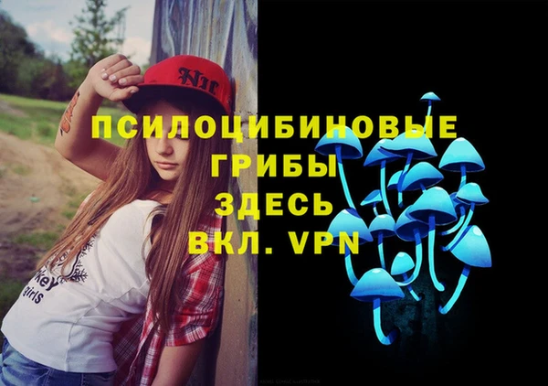 2c-b Алексин