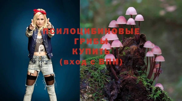 ГАЛЛЮЦИНОГЕННЫЕ ГРИБЫ Алзамай