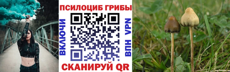 ссылка на мегу зеркало  Сольцы  Галлюциногенные грибы Magic Shrooms  закладки 